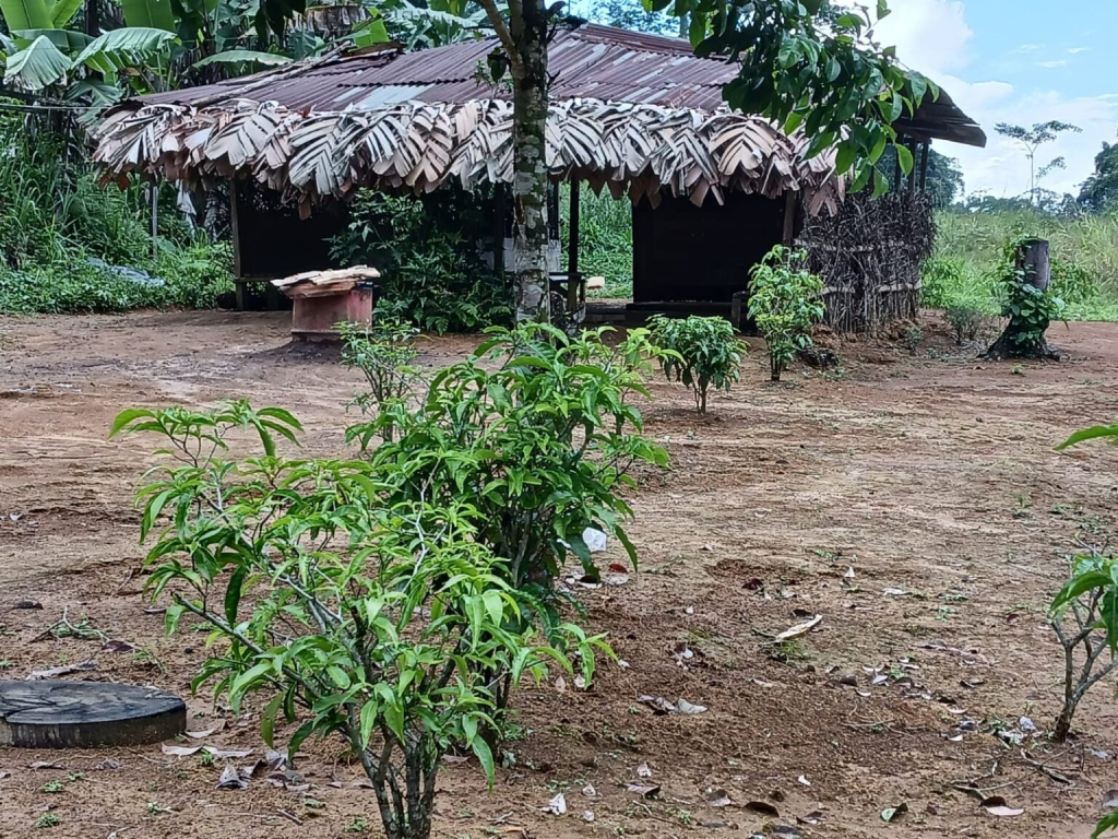 imgi 3 village open area with hut