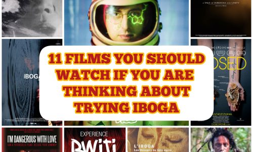 Iboga Movies: 11 films you should watch if you are thinking about trying Iboga