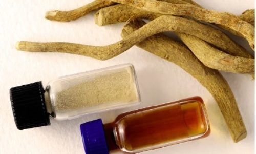 10 Reasons Why Iboga Differs from Ibogaine