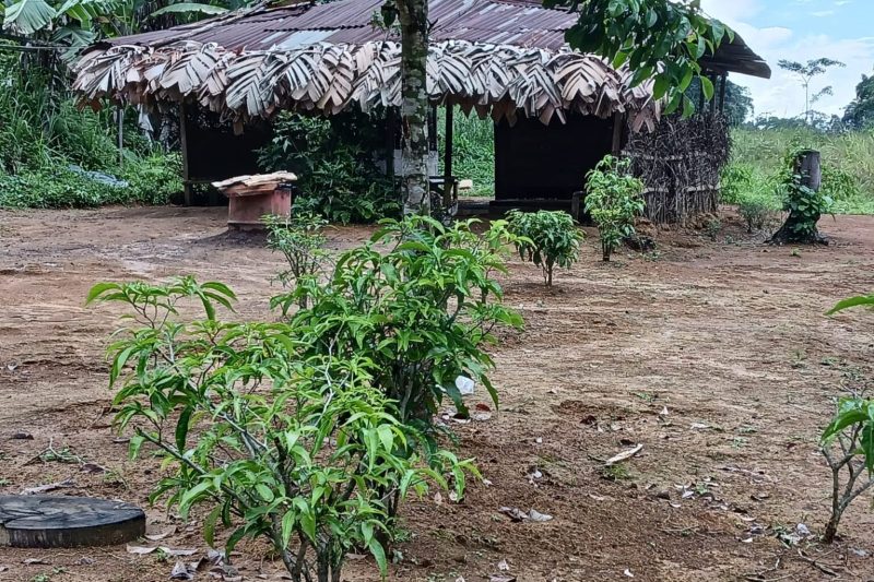 imgi_6_village-open-area-with-hut